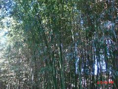 -紫竹院公园冰场