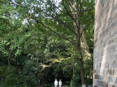 -灵谷景区