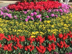 -广东茂名森林公园