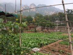 iphone_upload_pic-龙泉寺