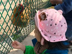 -华英星辰幼儿园(二马路分园)