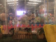 -南宫温泉水世界