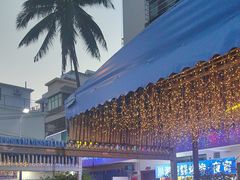 -墨脱石锅椰子鸡•香草鸭•东山羊(大东海店)