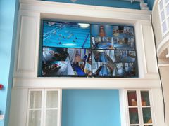 -早慧树儿童感觉统合体能训练中心(市北校区)