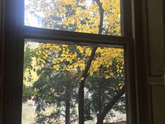 -北京动物园-畅观楼