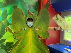 -上海昆虫博物馆