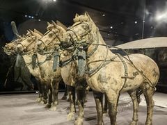 -秦始皇帝陵博物院-丽山园