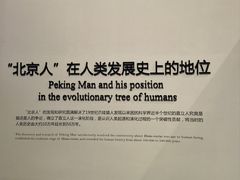 -北京周口店北京人遗址博物馆