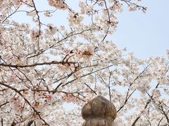 -苏州上方山国家森林公园