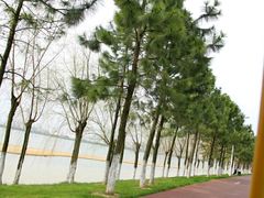 -艾溪湖湿地公园