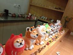 -柴务处·柴犬主题狗咖