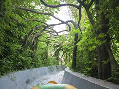 -沂蒙山旅游区云蒙景区(蒙山国家森林公园)