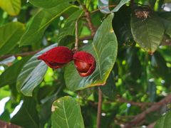 -茶颜观色(晋江店)