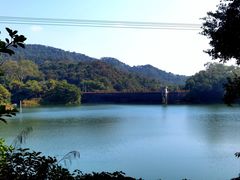 -佛山市三水区大南山森林公园