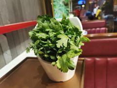 -牛村来人潮汕牛肉火锅(西单店)