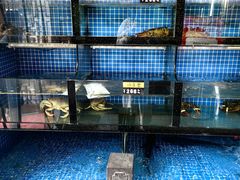 -千岛湖小鱼儿·淳安匠心农家菜