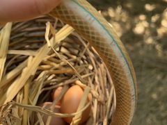 -北京市邮政管理局海慧寺幼儿园