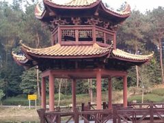 -铁山坪森林公园