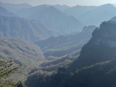 -黎老幺光雾山黄羊汤锅