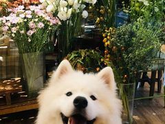 -南宋胡记(杭州灵隐寺店)