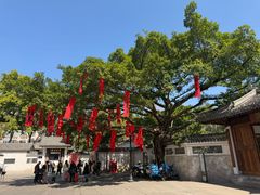 -墨池公园