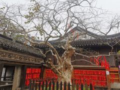 -中山詹园