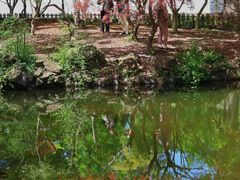 -秋霞圃