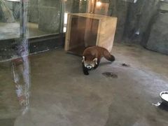 -哈尔滨北方森林动物园