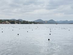 -杭州君悦酒店