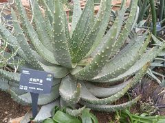 -国家植物园南园