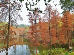 -广州市白云山风景名胜区