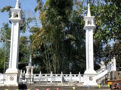 -瑞丽独树成林风景区