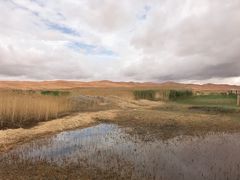 -沙漠世界地质公园