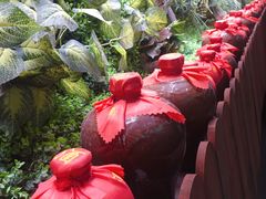 -窄巷子陕菜馆·地道陕西菜(粉巷店)