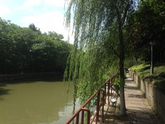 -凤城河风景区