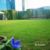 可在点评里选优惠套餐：2