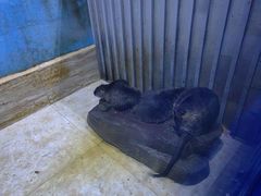 -多彩贵州城极地海洋世界