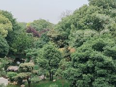 -枫桥景区