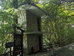 -华侨城湿地公园