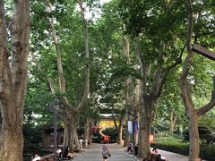 -静安公园(静安寺街道)