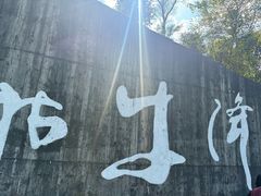 -石台牯牛降景区