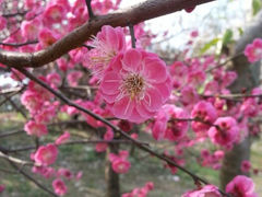android_upload_pic-浙江农林大学(东湖校区)