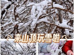 -紫金山山顶公园