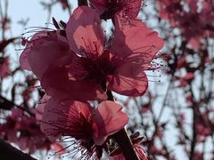 -上海市龙华烈士陵园