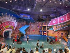 -烟台海昌鲸鲨海洋公园