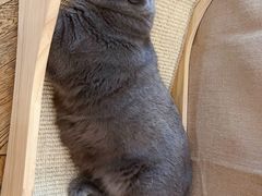 -Me Coffee下午茶艺术空间