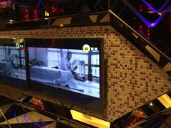 -麦乐星量贩式KTV(东丽汇城广场店)
