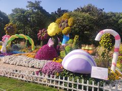 -上海共青森林公园