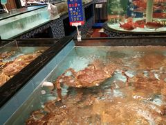 -尚海豆捞(乐虹坊店)