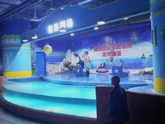 -重庆欢乐海底世界